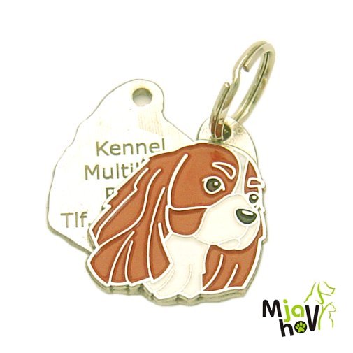 hundemarke gravur - cavalier king charles spaniel.jpg Hundemarken MjavHov - Hundemarke, Hundemarken online, Hundemarken mit gravur, gravierte Hundemarken, Hundeanhänger, Anhänger mit gravur, Hundezubehöer, Rassen Hundemarke, Tieranhänger